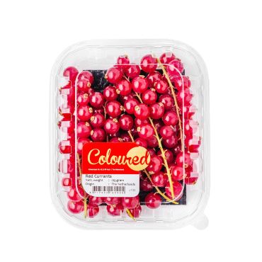 Red Currants Netherland 125g (Pack)