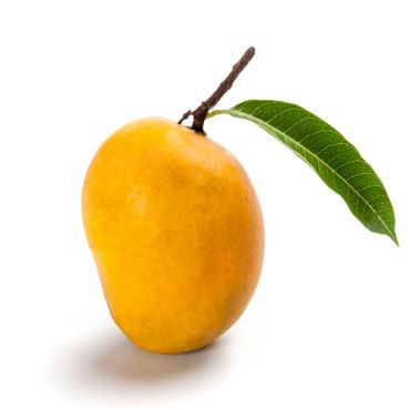 Mango Yemen (Pack)