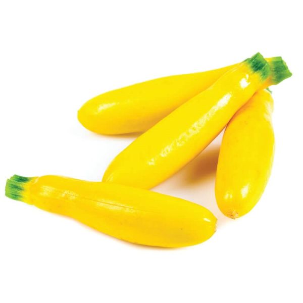 Baby Courgette Yellow Netherlands (Pack)
