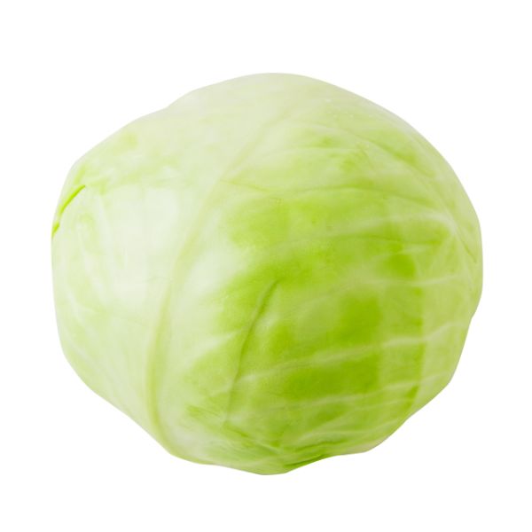 Cabbage Green Organic Netherlands (Piece)