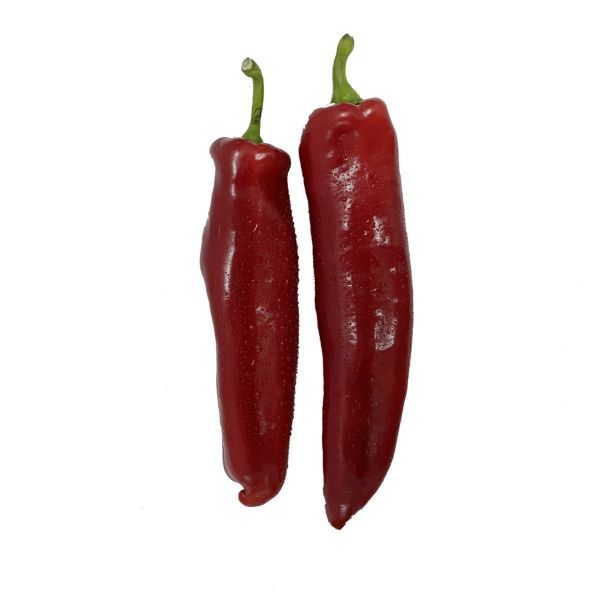 Chili Ghazal red Mahaseel Qatar (Pack)