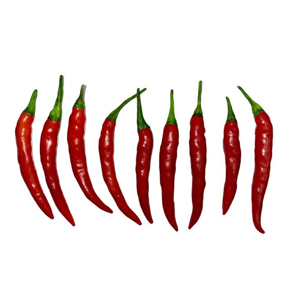 Red Chili Thailand (Pack)