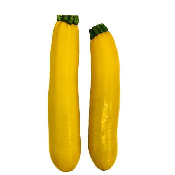 Courgette Yellow Netherlands (Pack)