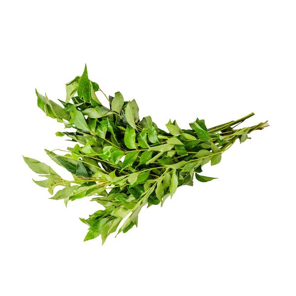 Curry Leaves India (Bunch)