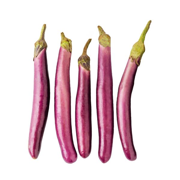 Eggplant Red Long Mahaseel Qatar (Pack)