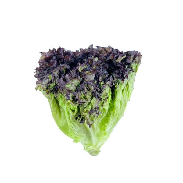 Lettuce Lollo Rosso Netherlands (Piece)