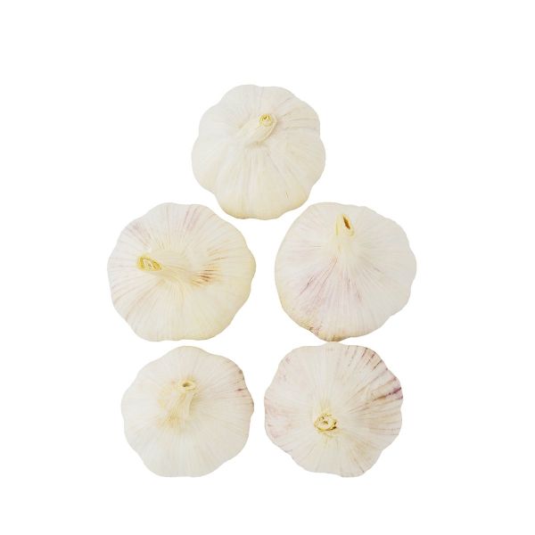 Garlic China Approx 500g (Pack)