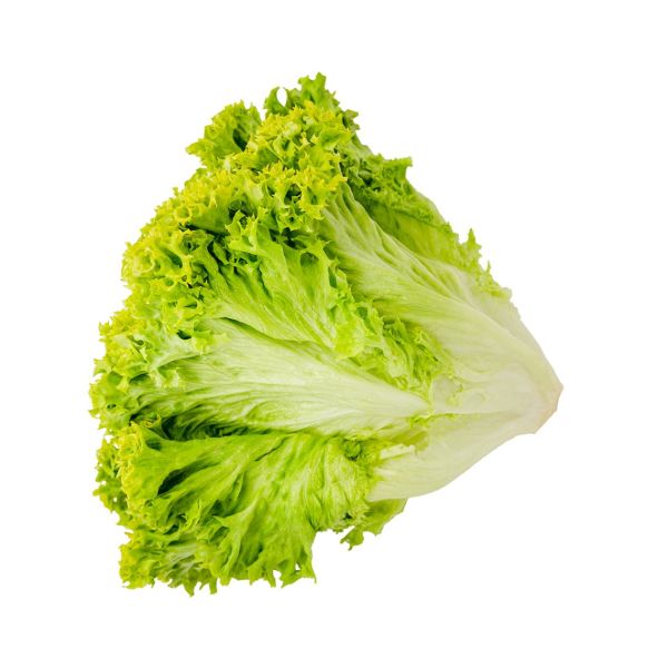 Lettuce Lollo Bionda Netherlands (Piece)