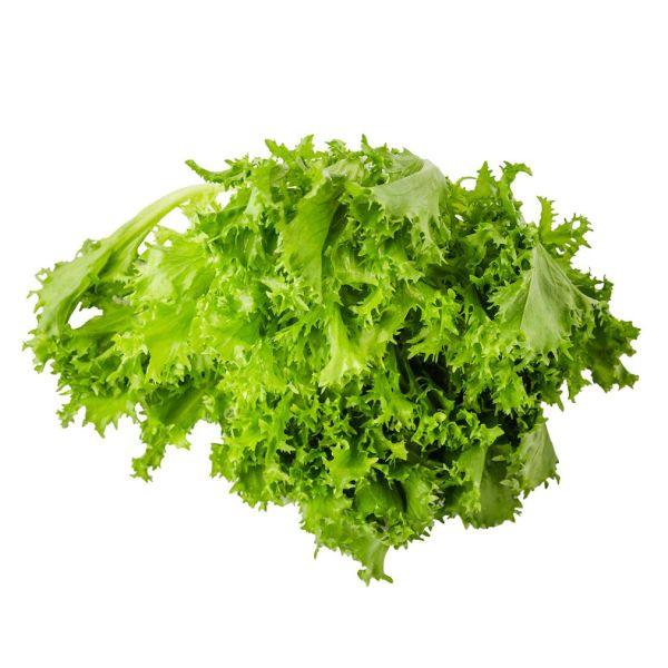 Lettuce Frisee Green Netherlands Approx 500g (Piece)