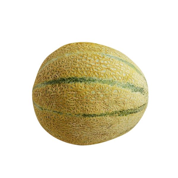Melon Rock Oman Approx 1.2Kg (Piece)