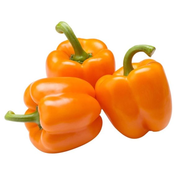 Capsicum Orange Oman Approx 500g (Pack)