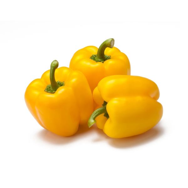 Capsicum Yellow Oman Approx 500g (Pack)