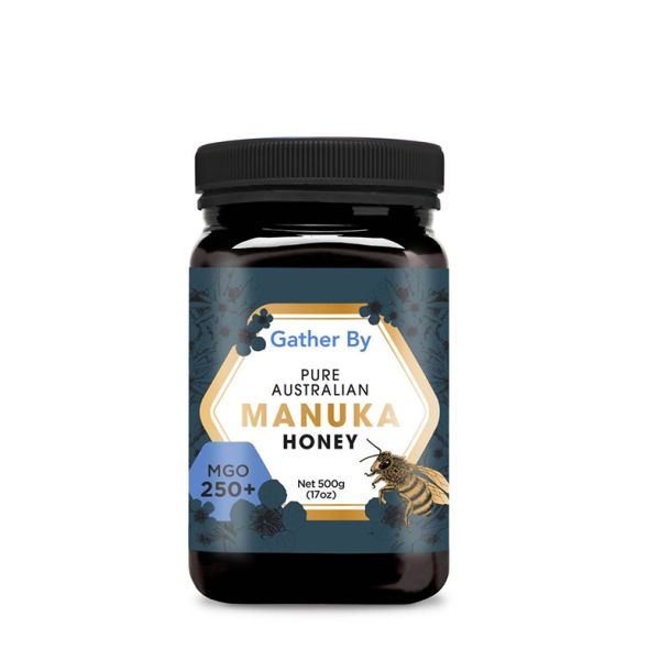 L'exquis Manuka Honey MGO 250+ 500G