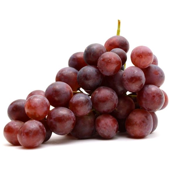 Red Grapes Globe Chile (Pack)