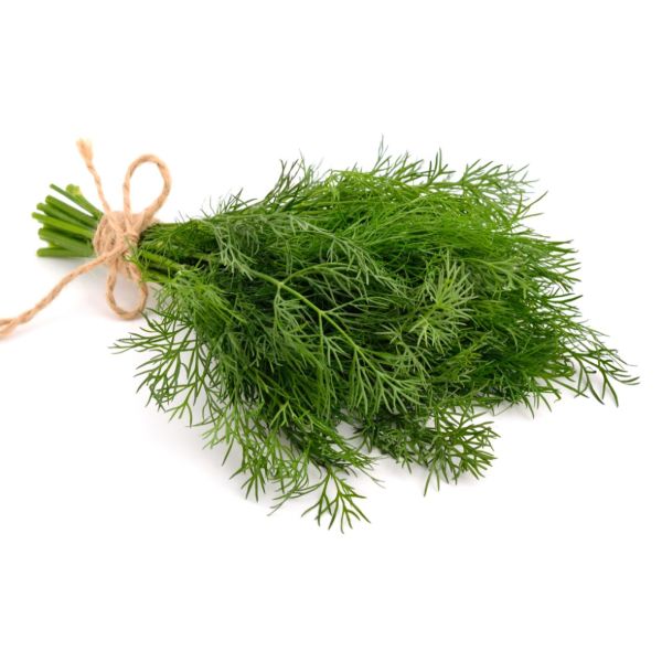 Dill Iran (Bunch)