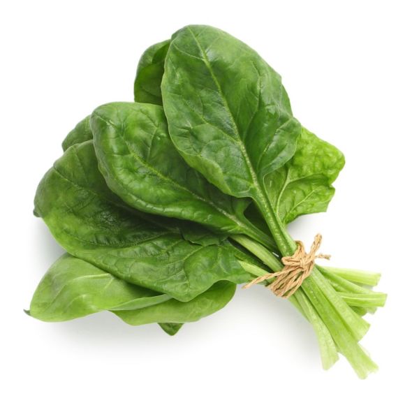 Baby Leaf Spinach USA (Pack)