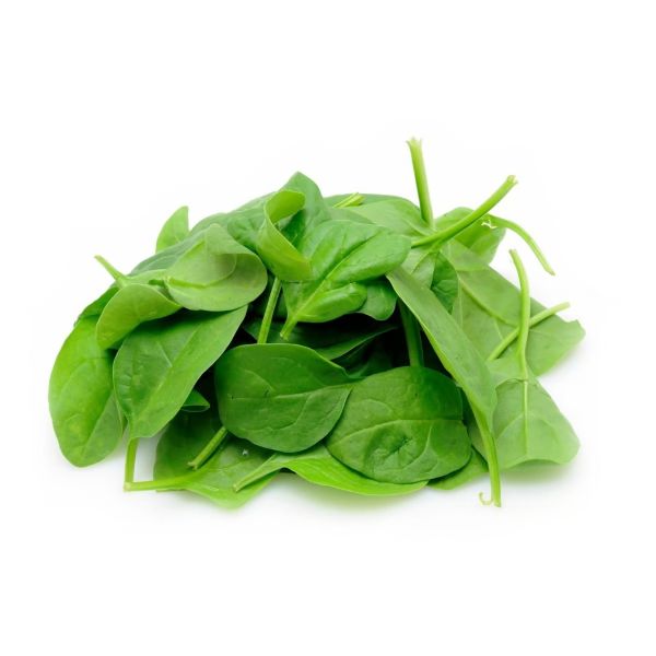 Baby Leaf Spinach Italy (Pack)