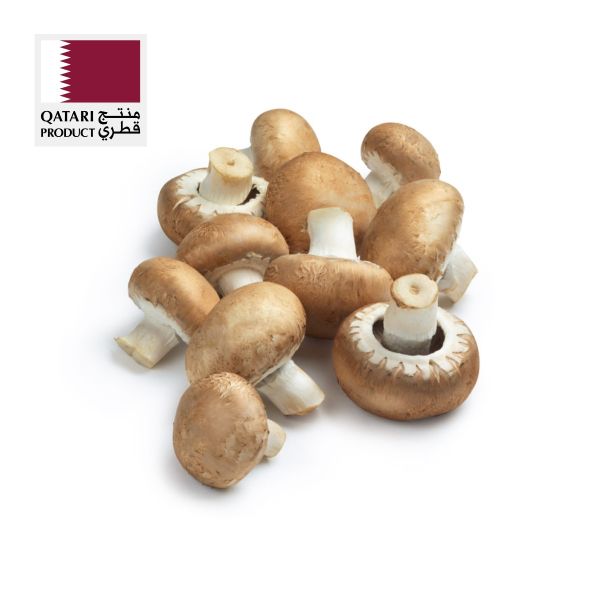 Mushroom Brown Chestnut Qatar (Pack)