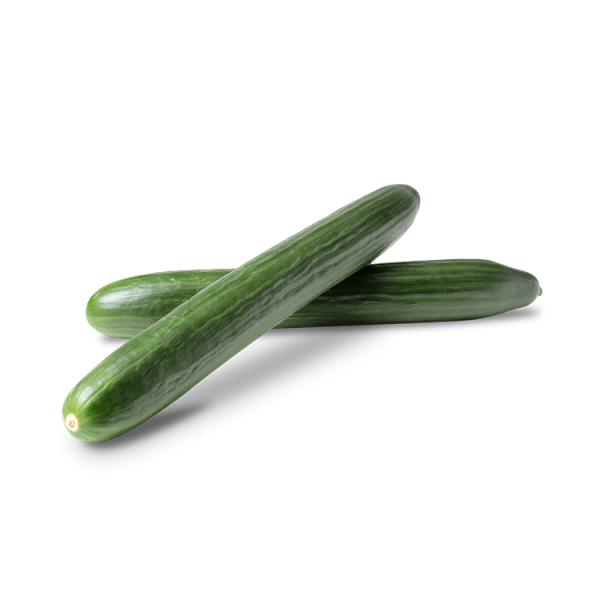 English Cucumber Long Netherlands Approx 1Kg (Pack)