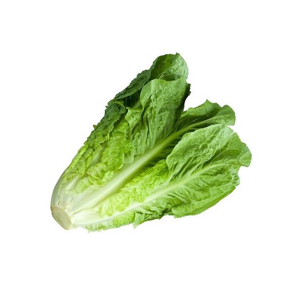 Lettuce Romain Jordan Approx 500g (Piece)