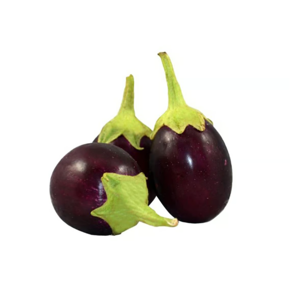 Eggplant Round Qatar (Pack)